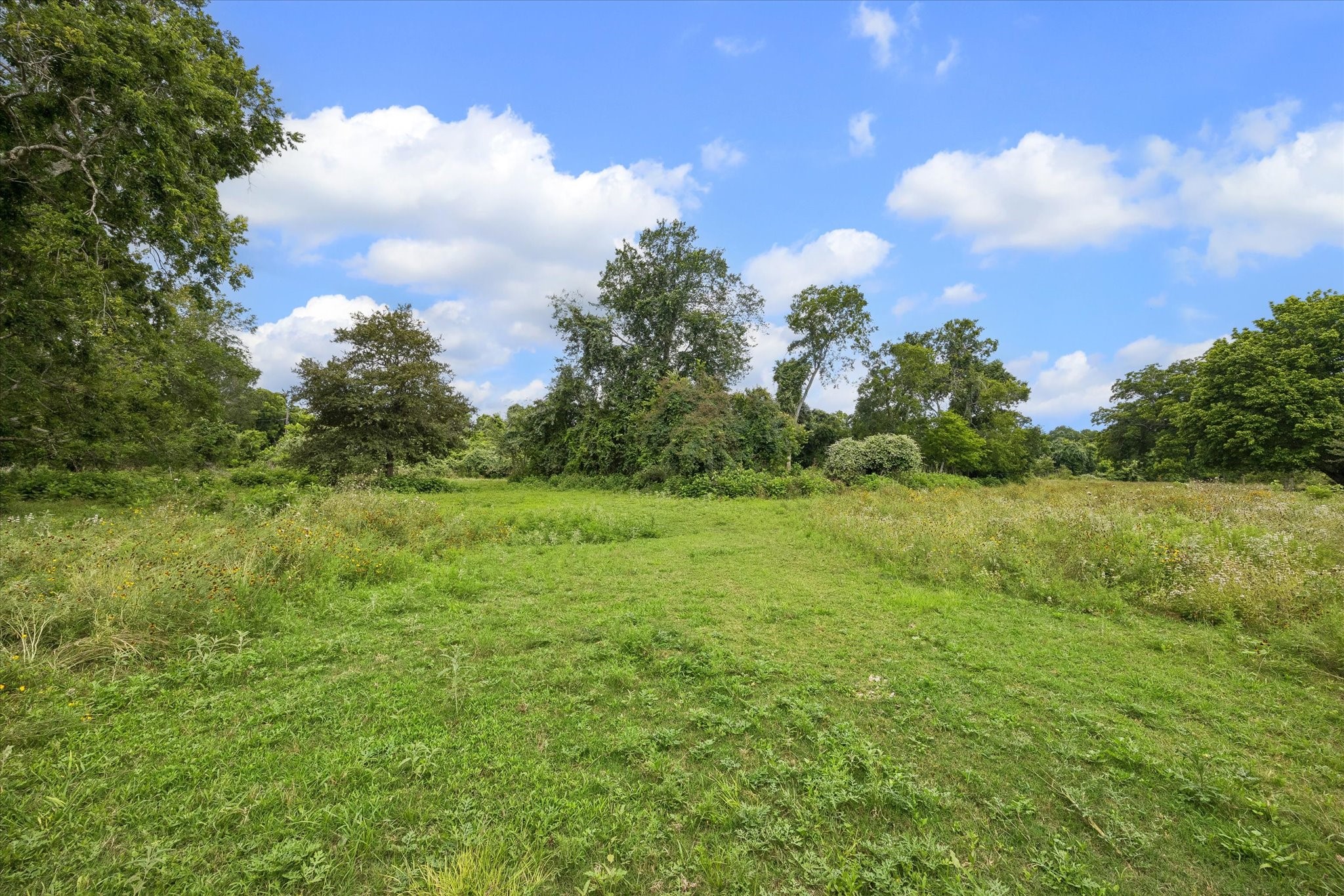 2511 Hartwell Road Pattison, TX 77423 - Photo 25 of 27 Gently rolling pasture ideal for livestock, horses, or recreational use.