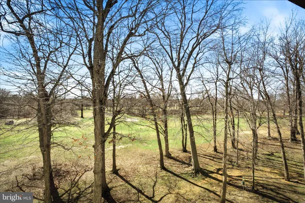 a view of outdoor space and trees