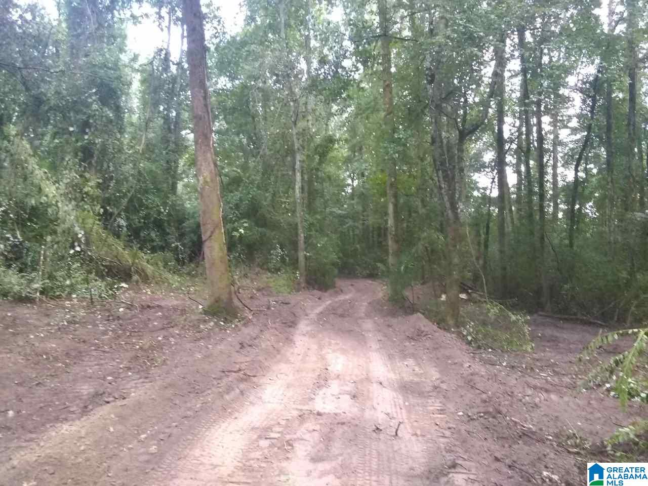 0 Highway 25 Vincent, AL 35178 - Photo 4 of 5