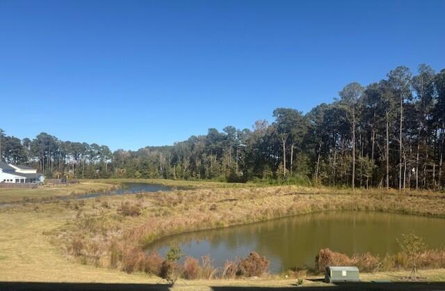 596 Scholar Way Summerville, SC 29486 - Photo 2 of 97 Pond 36