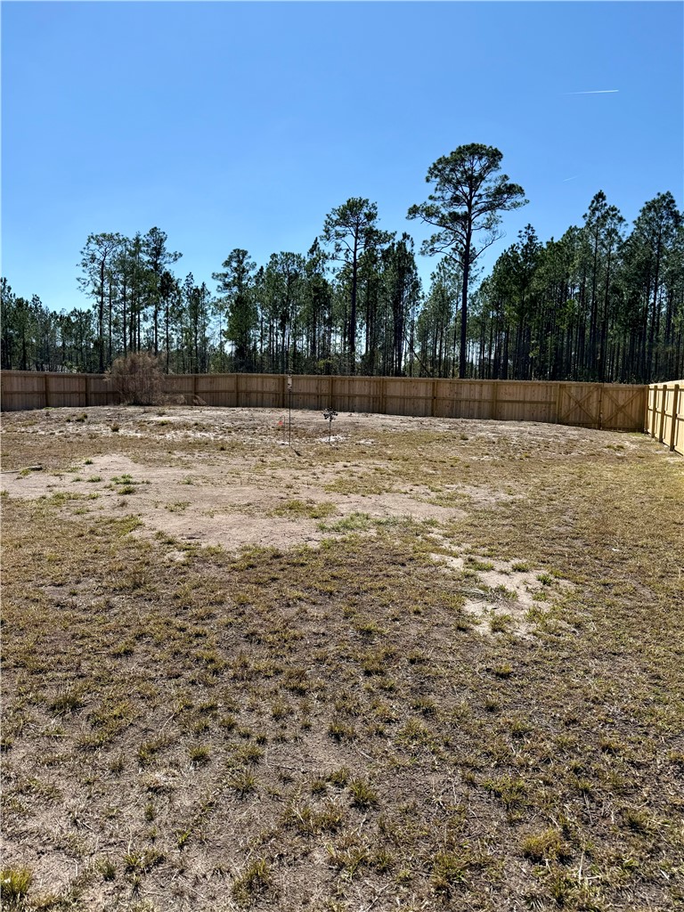 59 Red Hawk Court Waynesville, GA 31566 - Photo 14 of 18