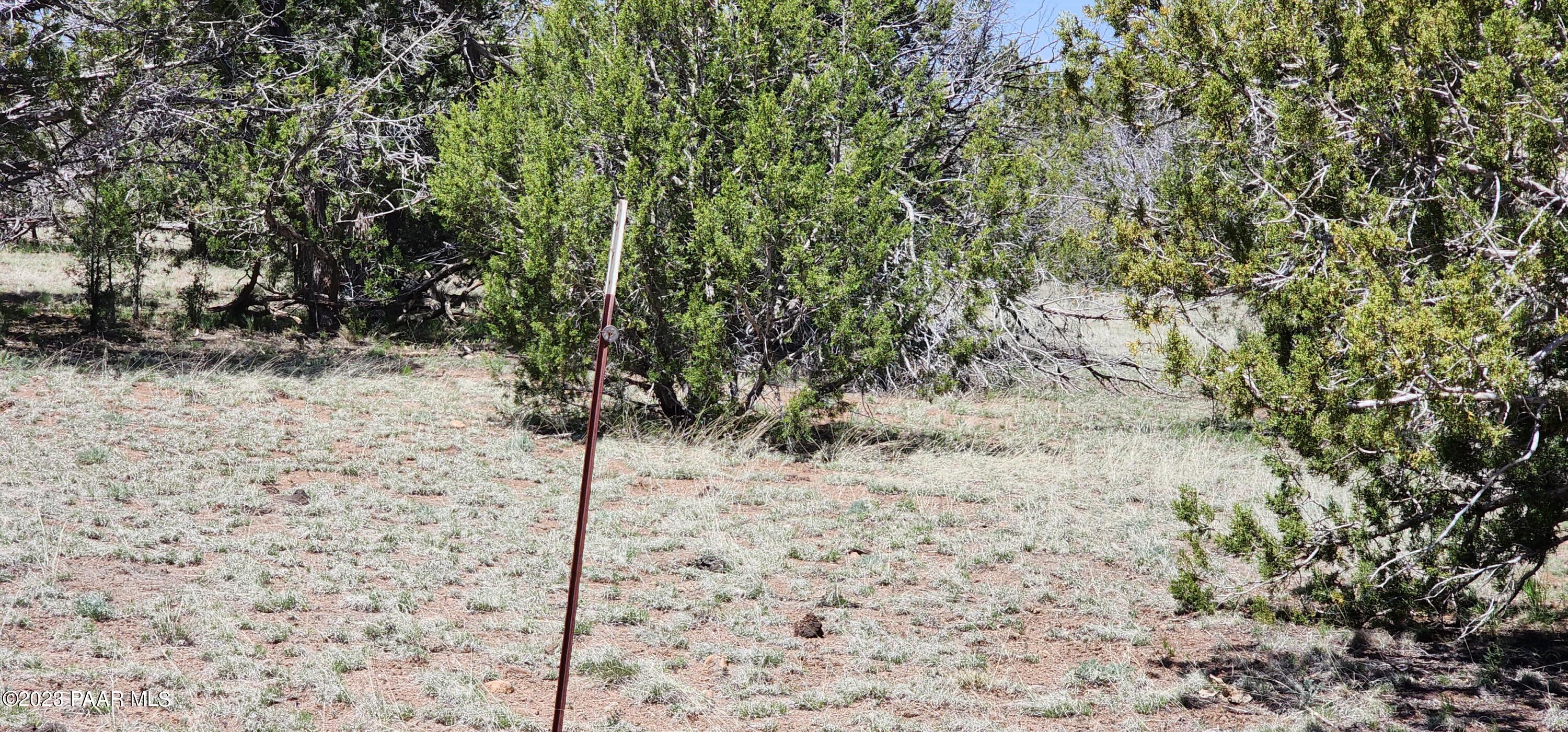 703 North Edwards Rnch Road Williams, AZ 86046 - Photo 12 of 14 20230509_132434