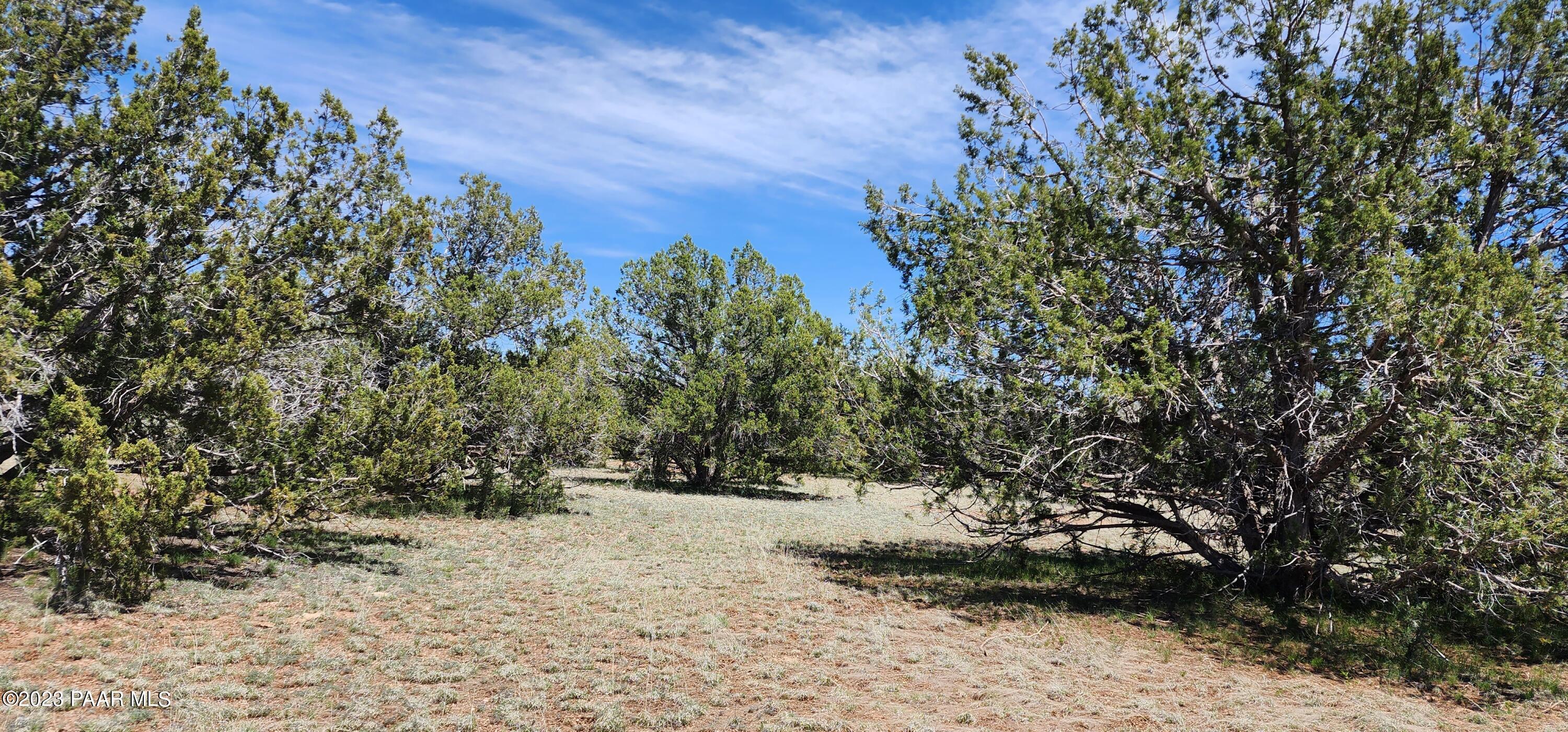 703 North Edwards Rnch Road Williams, AZ 86046 - Photo 3 of 14 20230509_131535