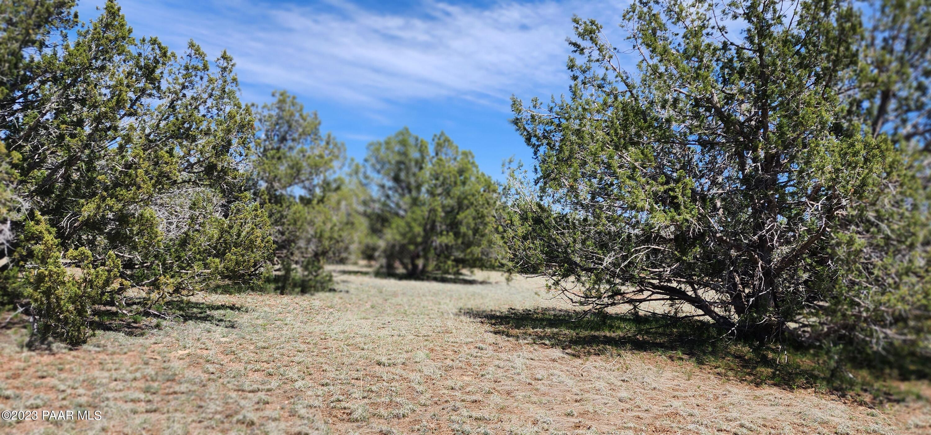 703 North Edwards Rnch Road Williams, AZ 86046 - Photo 4 of 14 20230509_131537