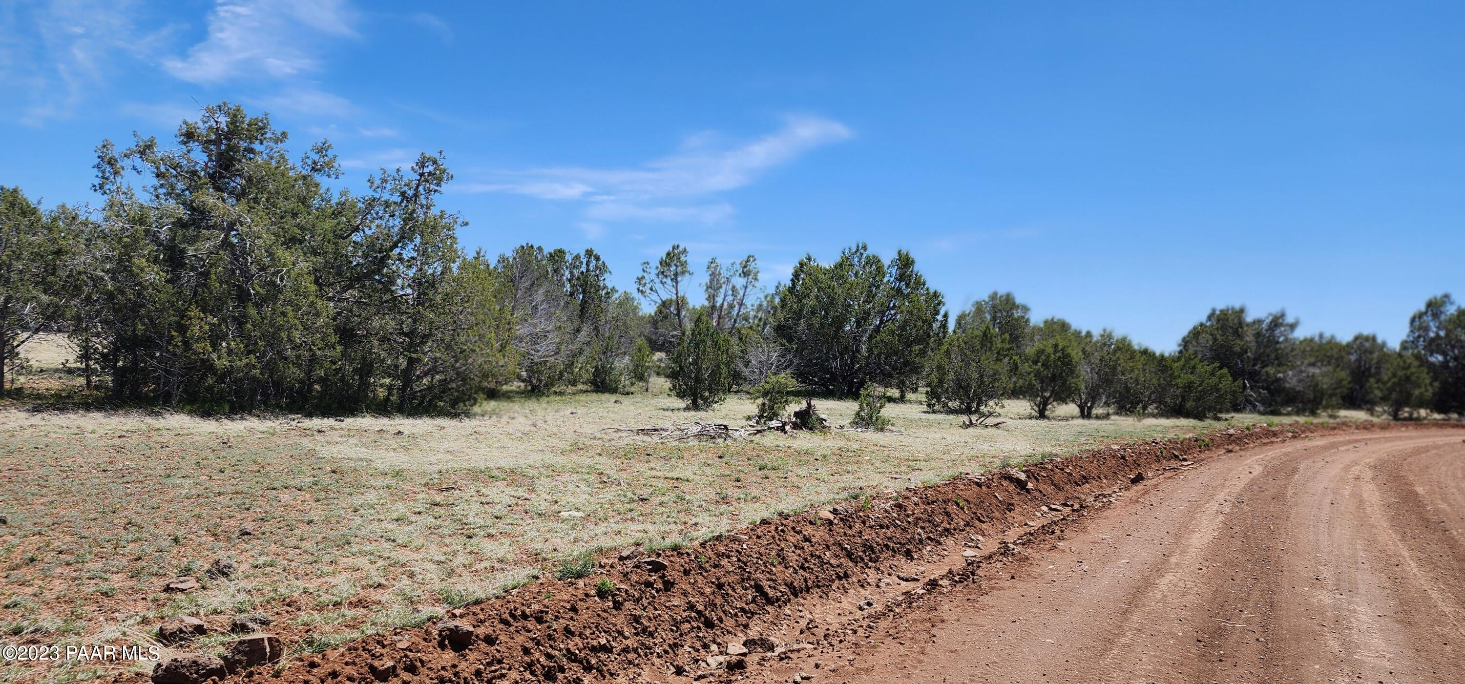 703 North Edwards Rnch Road Williams, AZ 86046 - Photo 5 of 14 20230509_131905