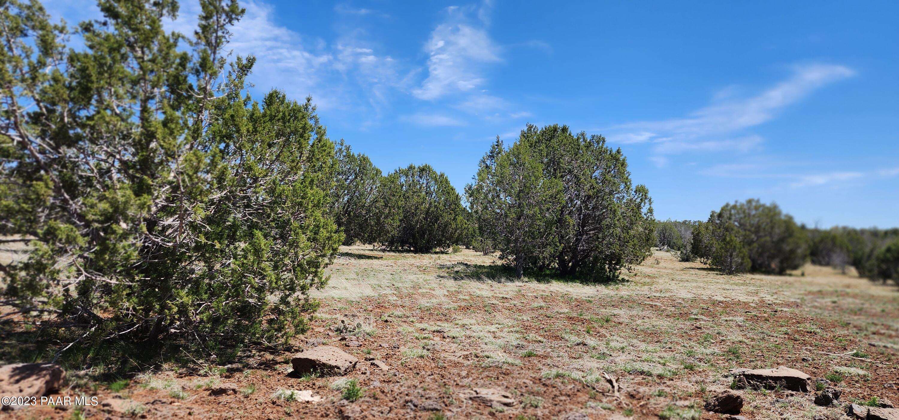 703 North Edwards Rnch Road Williams, AZ 86046 - Photo 6 of 14 20230509_131955