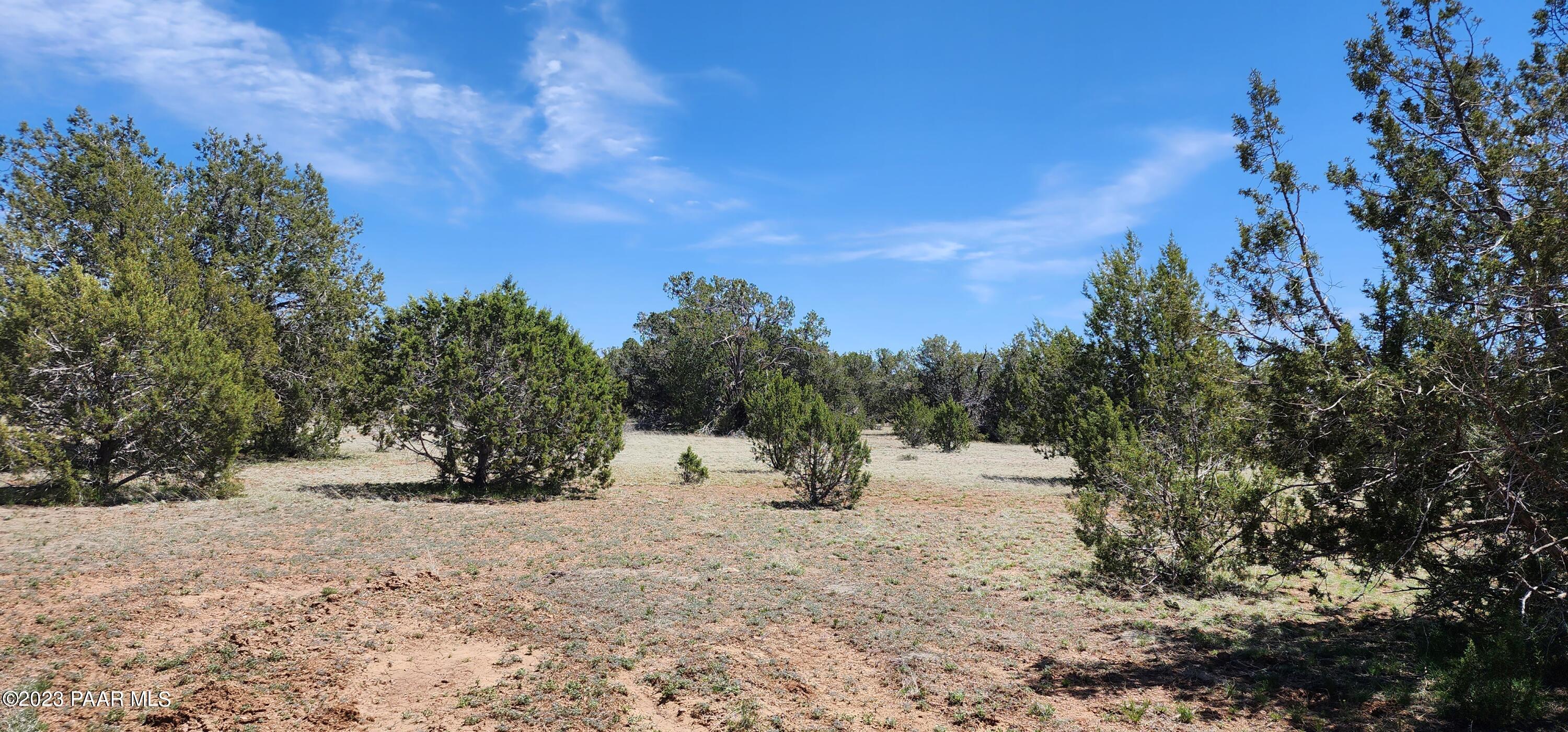 703 North Edwards Rnch Road Williams, AZ 86046 - Photo 8 of 14 20230509_132120