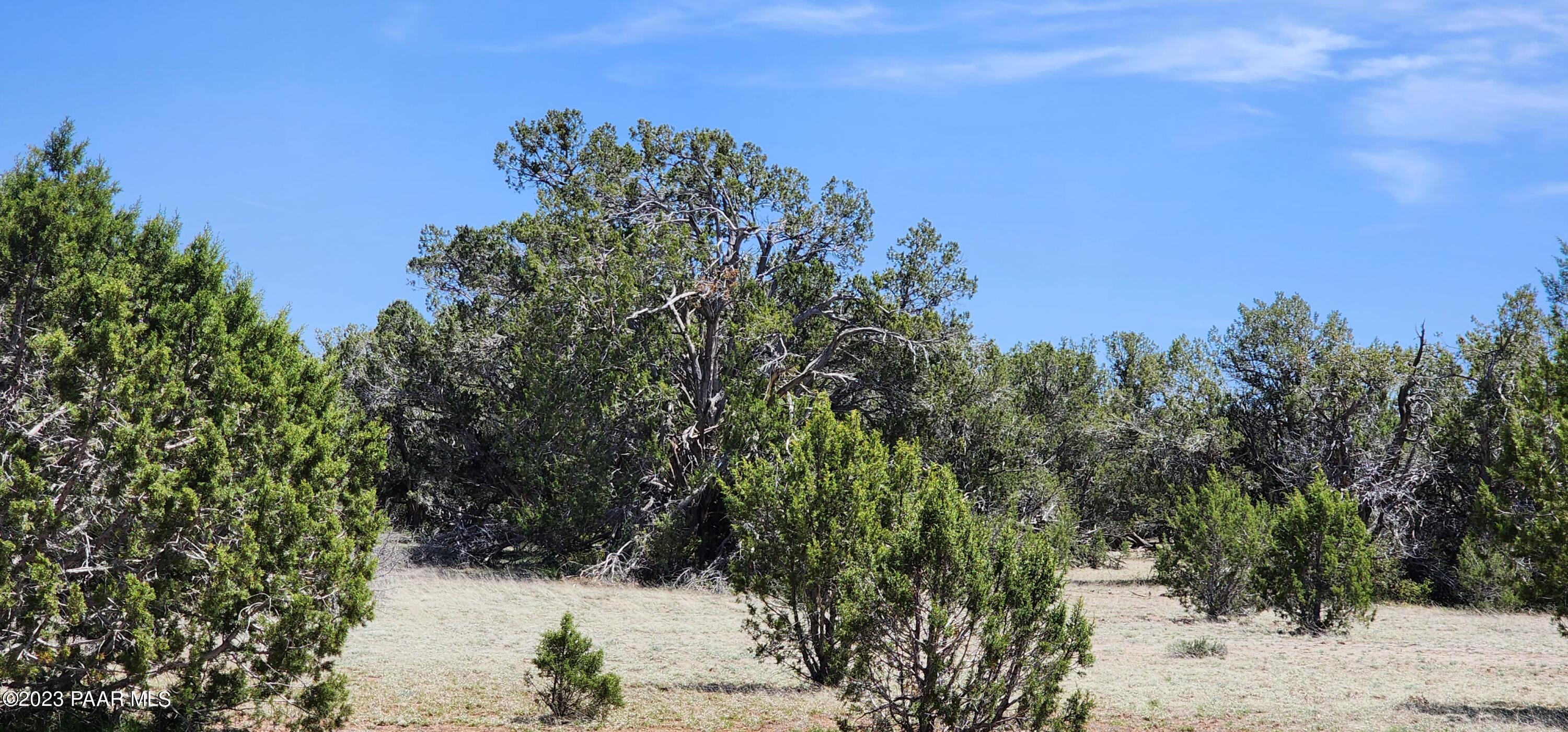703 North Edwards Rnch Road Williams, AZ 86046 - Photo 9 of 14 20230509_132126