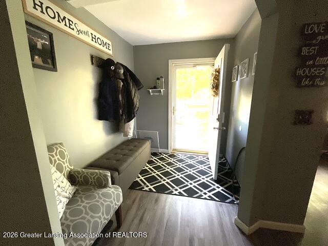 309 Olivet Road Bellevue, MI 49021 - Photo 9 of 37 9 Entry