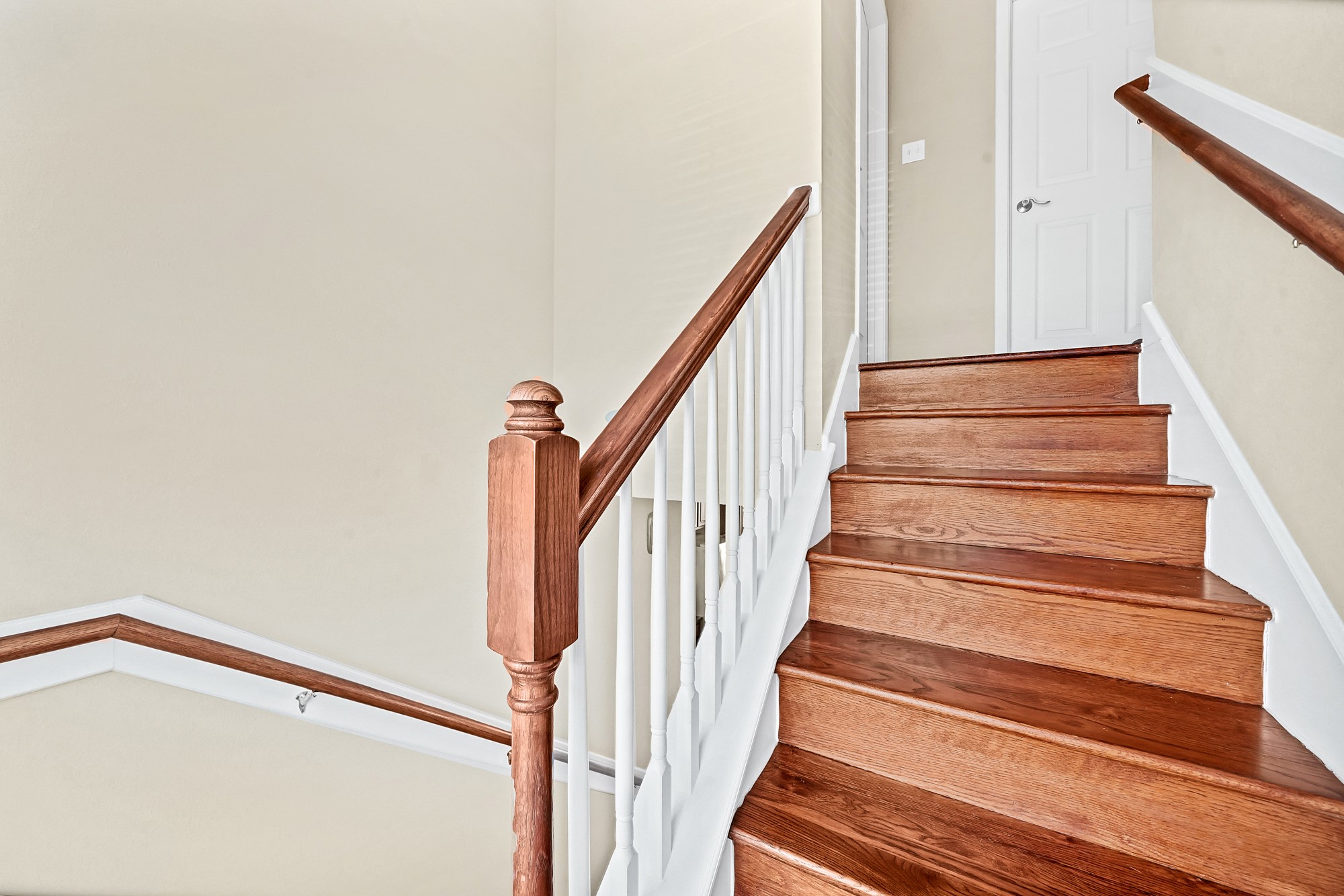5206 Petty Street Houston, TX 77007 - Photo 21 of 26 a view of entryway