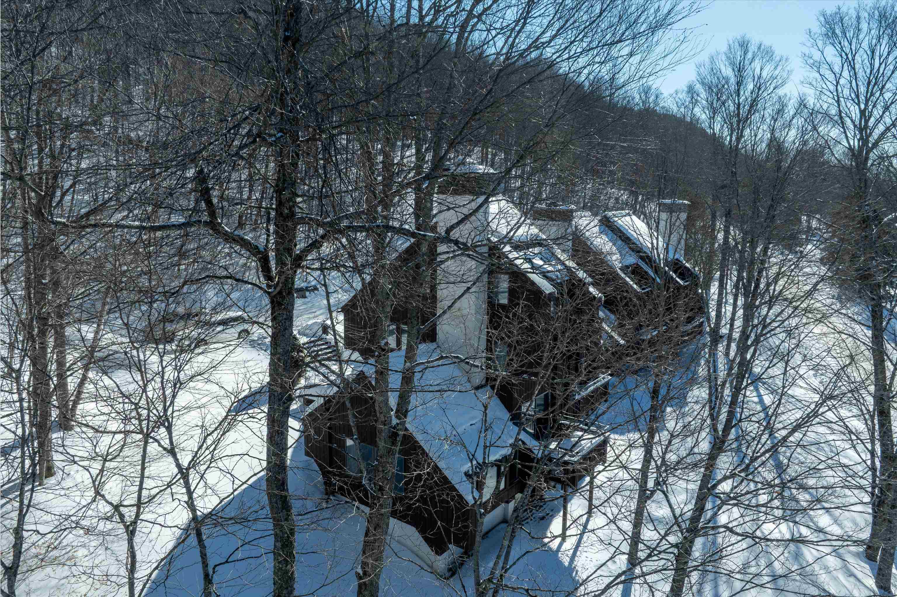 879 East Ash Road, Unit 5 Plymouth, VT 05056 - Photo 37 of 47