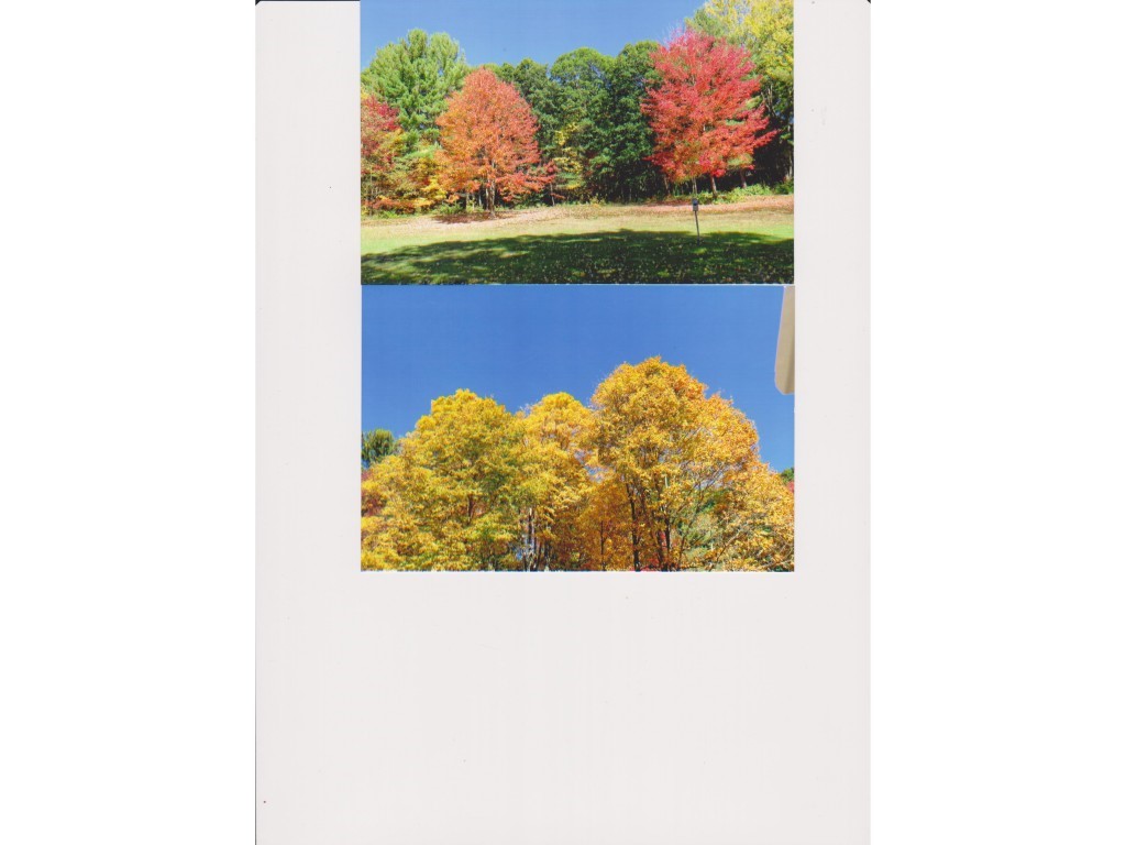 589 Lake Dunmore Road Leicester, VT 05733 - Photo 28 of 28 Gallery Image 28