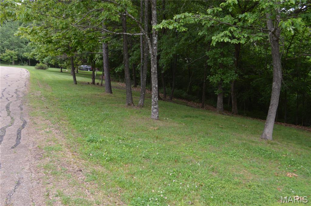 772 Mound Road Festus, MO 63028 - Photo 4 of 5