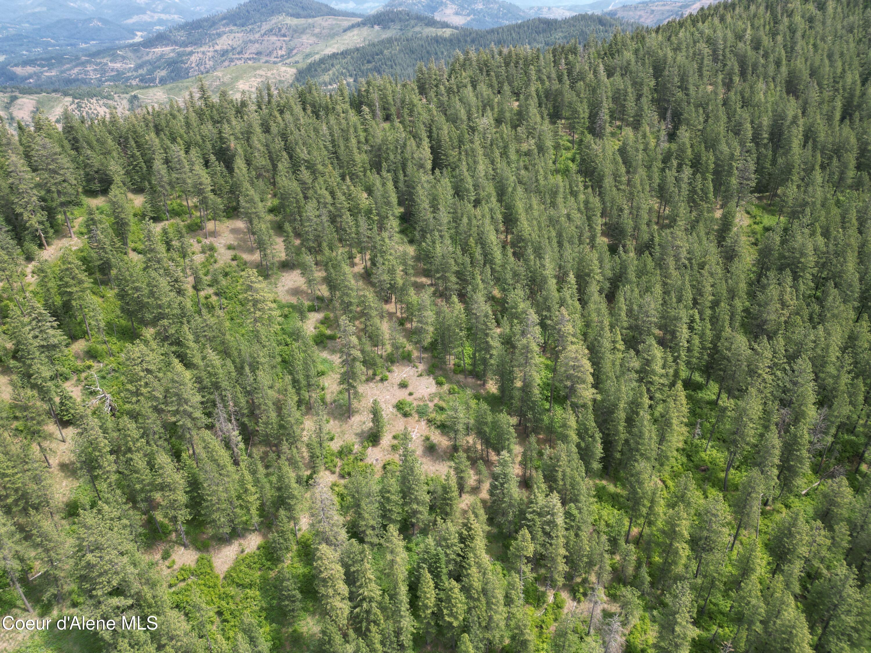 Nka Initial Peak Road Cataldo, ID 83810 - Photo 7 of 18 NKA Initial