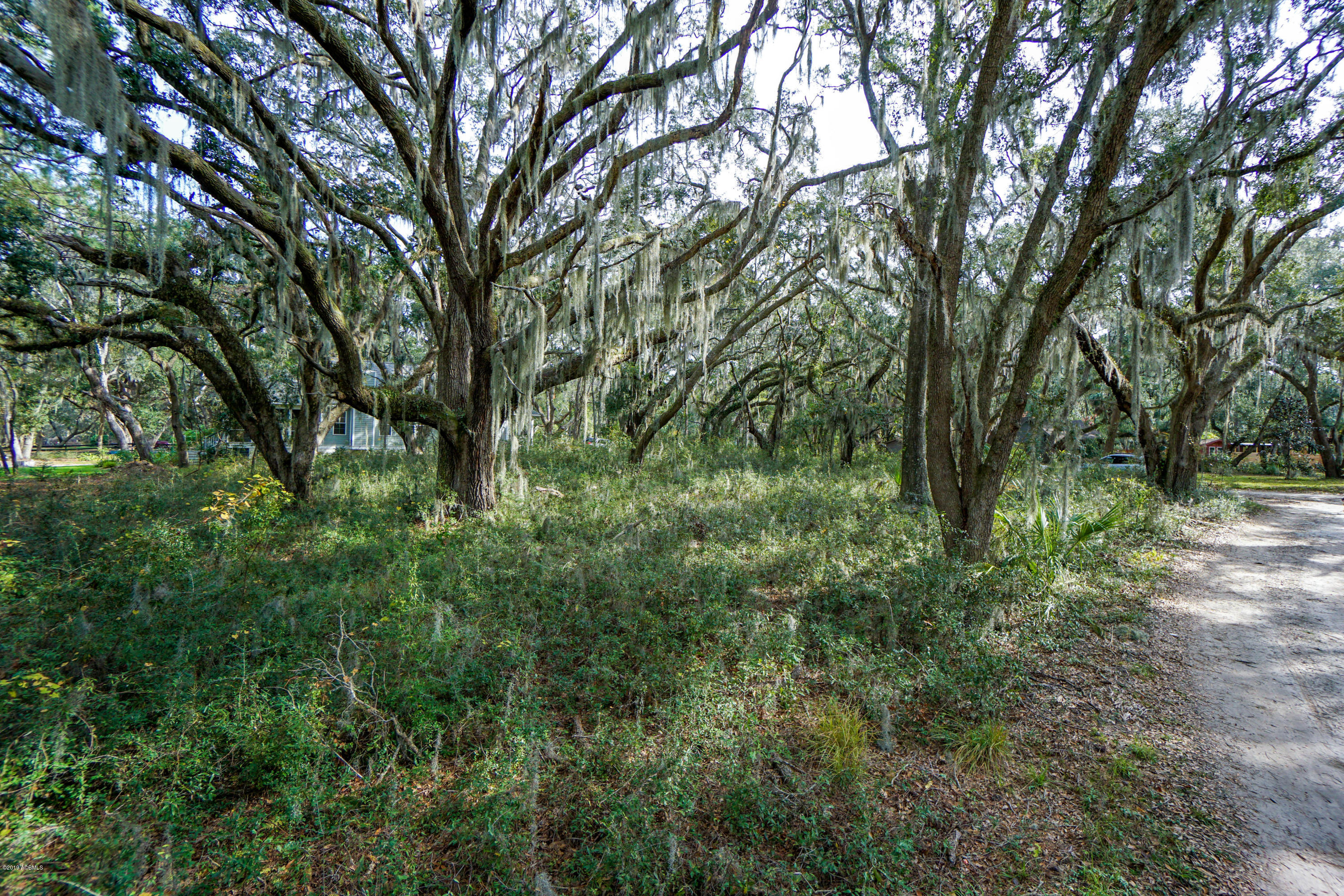 Tbd Orchard Road St. Helena Island, SC 29920 - Photo 3 of 7 DSC06315