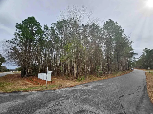 $44,500 | Lot 1 Peach Tree Road, Marion, SC 29571