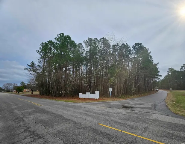 $44,500 | Lot 1 Peach Tree Road, Marion, SC 29571