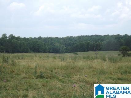 0 Highway 24 Oneonta Al Oneonta, AL 35121 - Photo 15 of 27