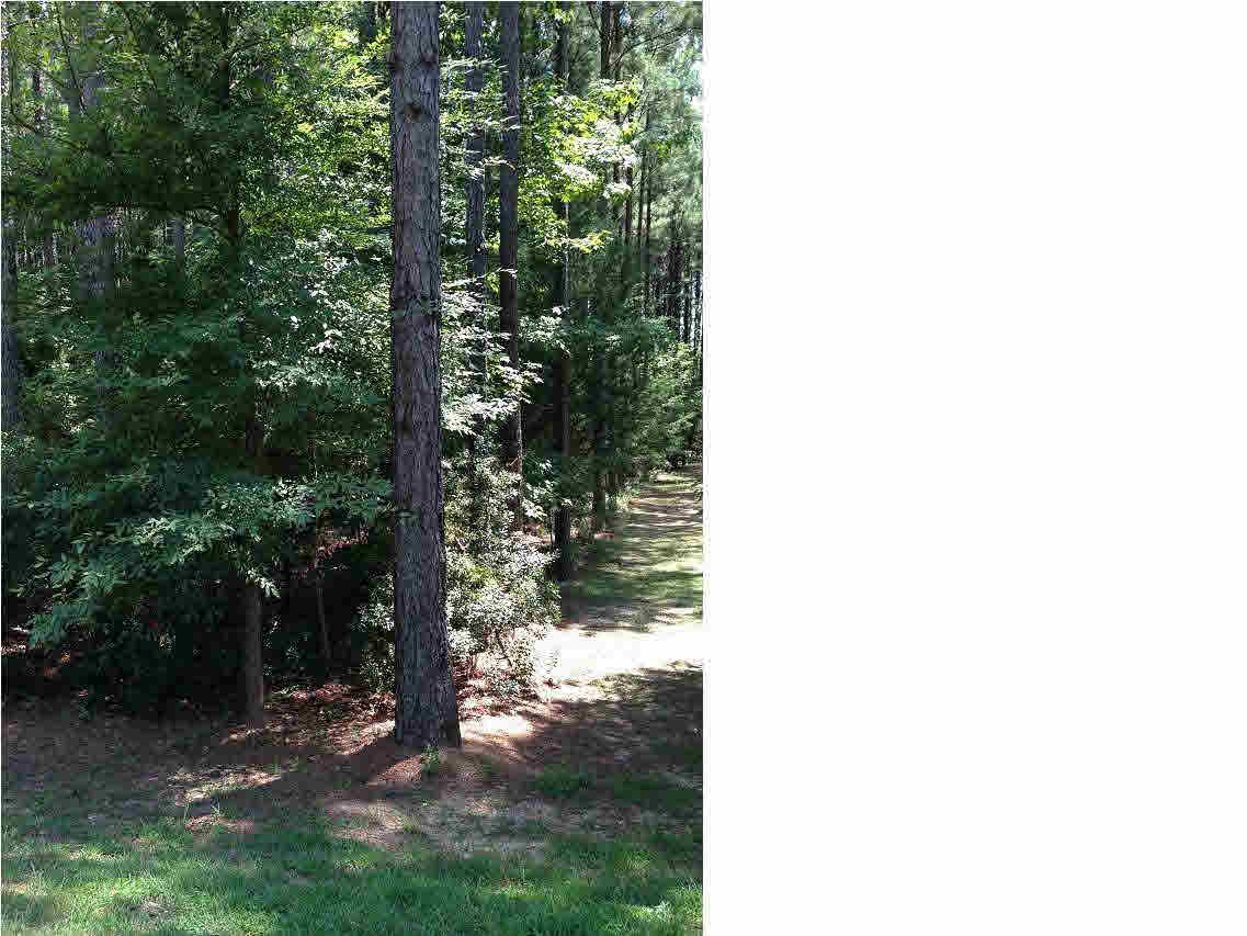 0 Bluebird Lane Ridgeland, MS 39157 - Photo 3 of 3 Photo 3