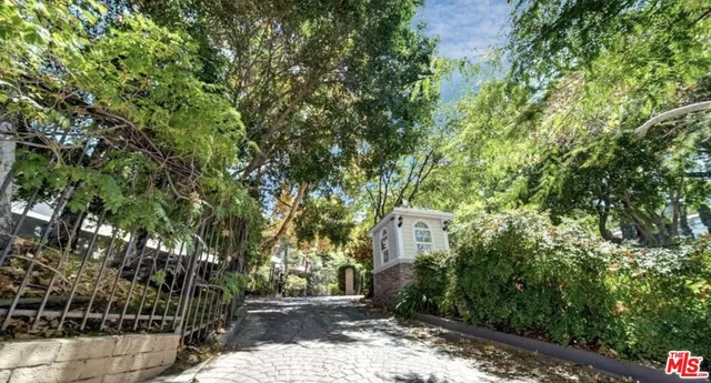 a view of a yard with plants and large trees
