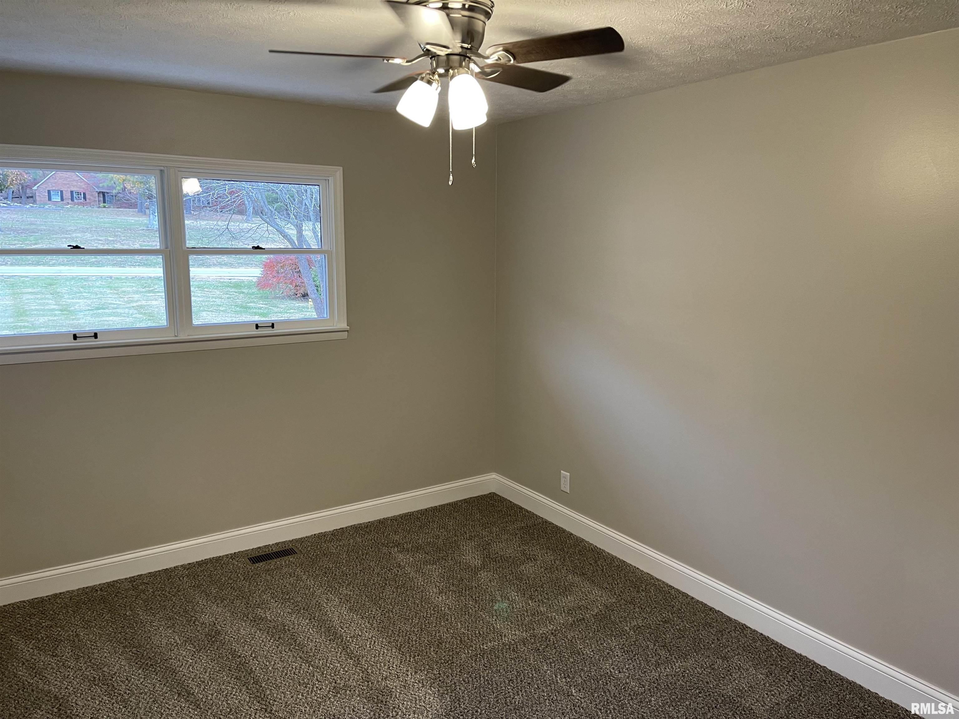 4170 State Rte 146 East Vienna, IL 62995 - Photo 11 of 24