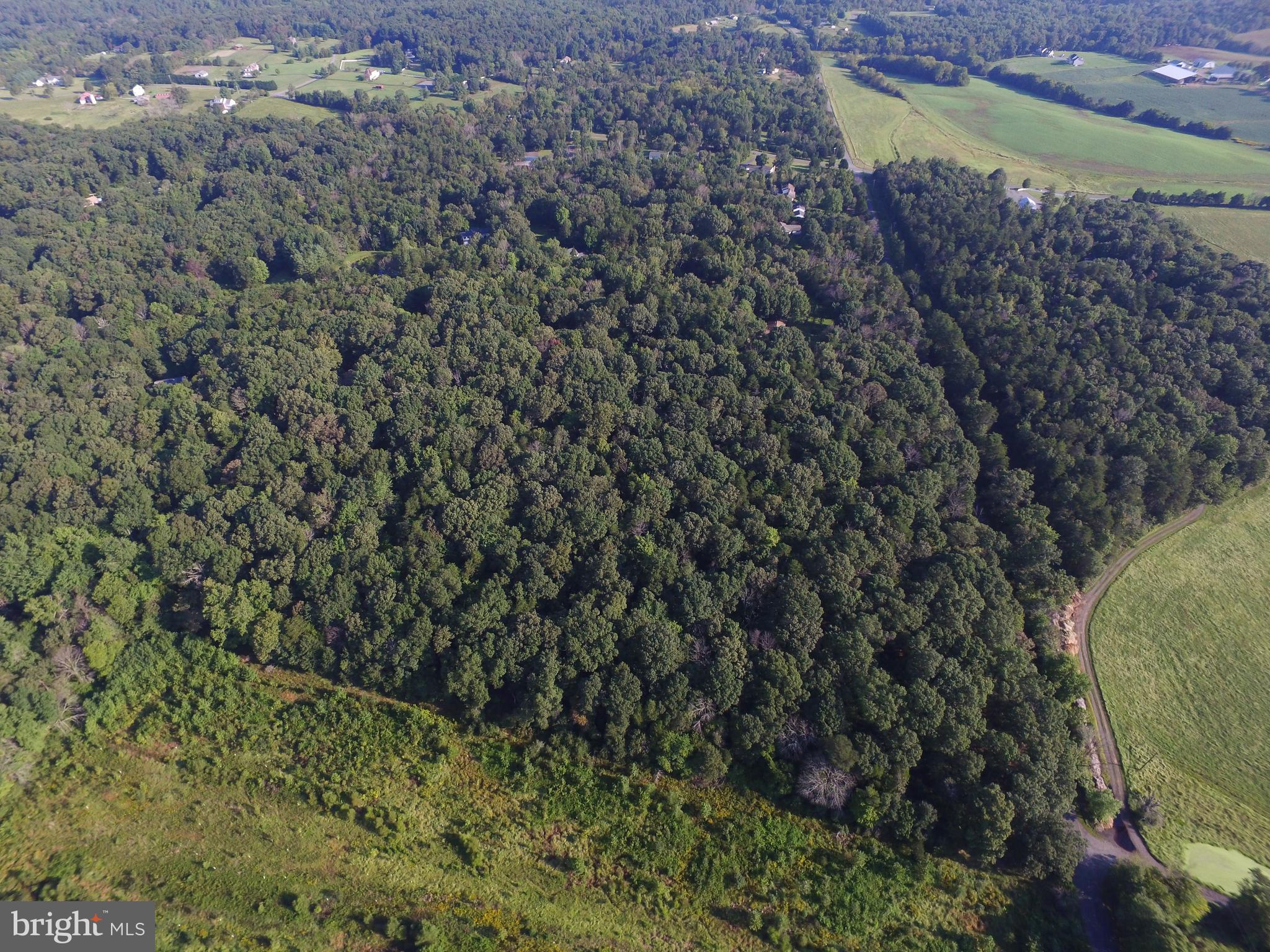 0 Burwell Road Catlett, VA 20119 - Photo 18 of 28