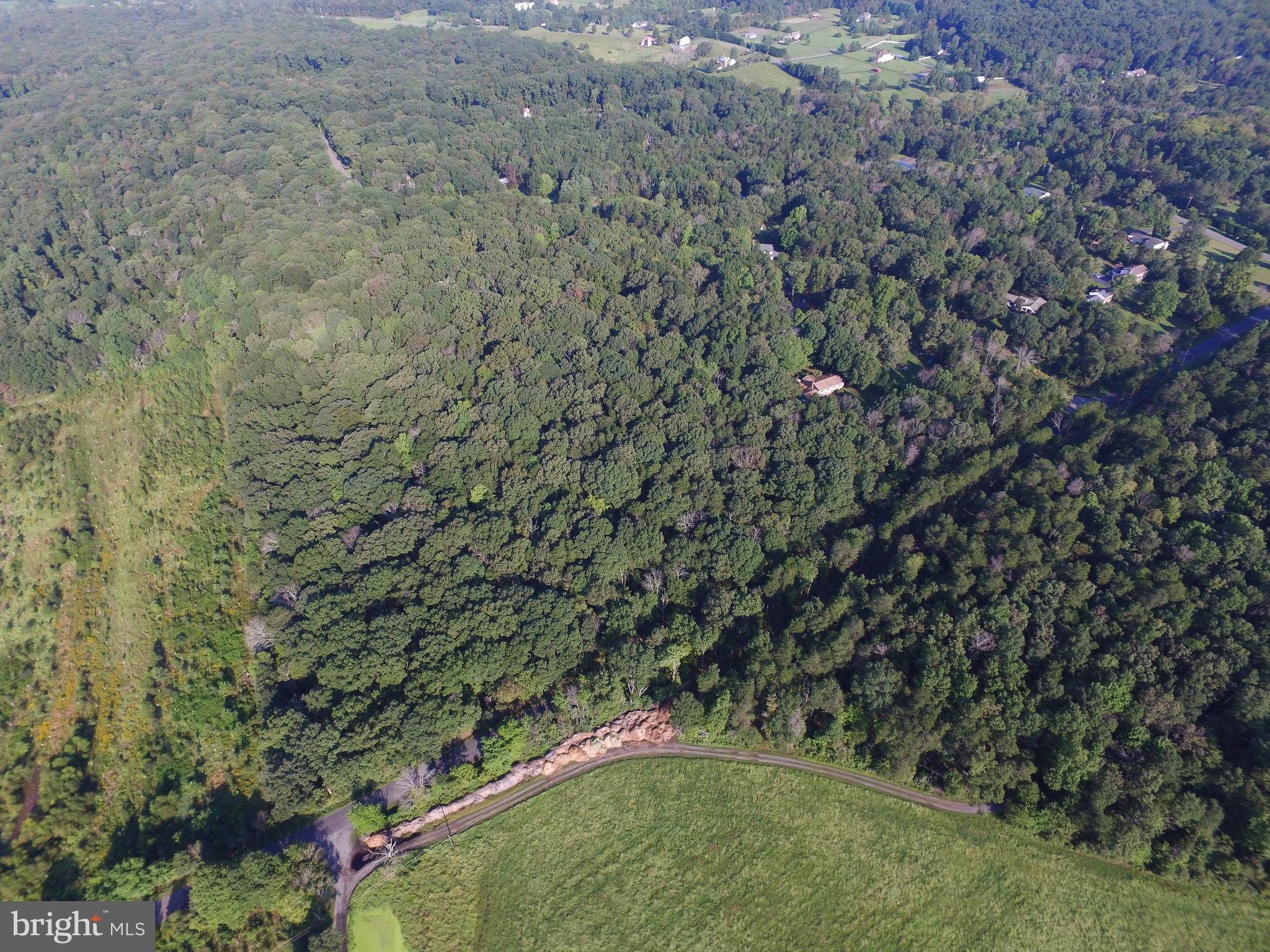 0 Burwell Road Catlett, VA 20119 - Photo 10 of 28