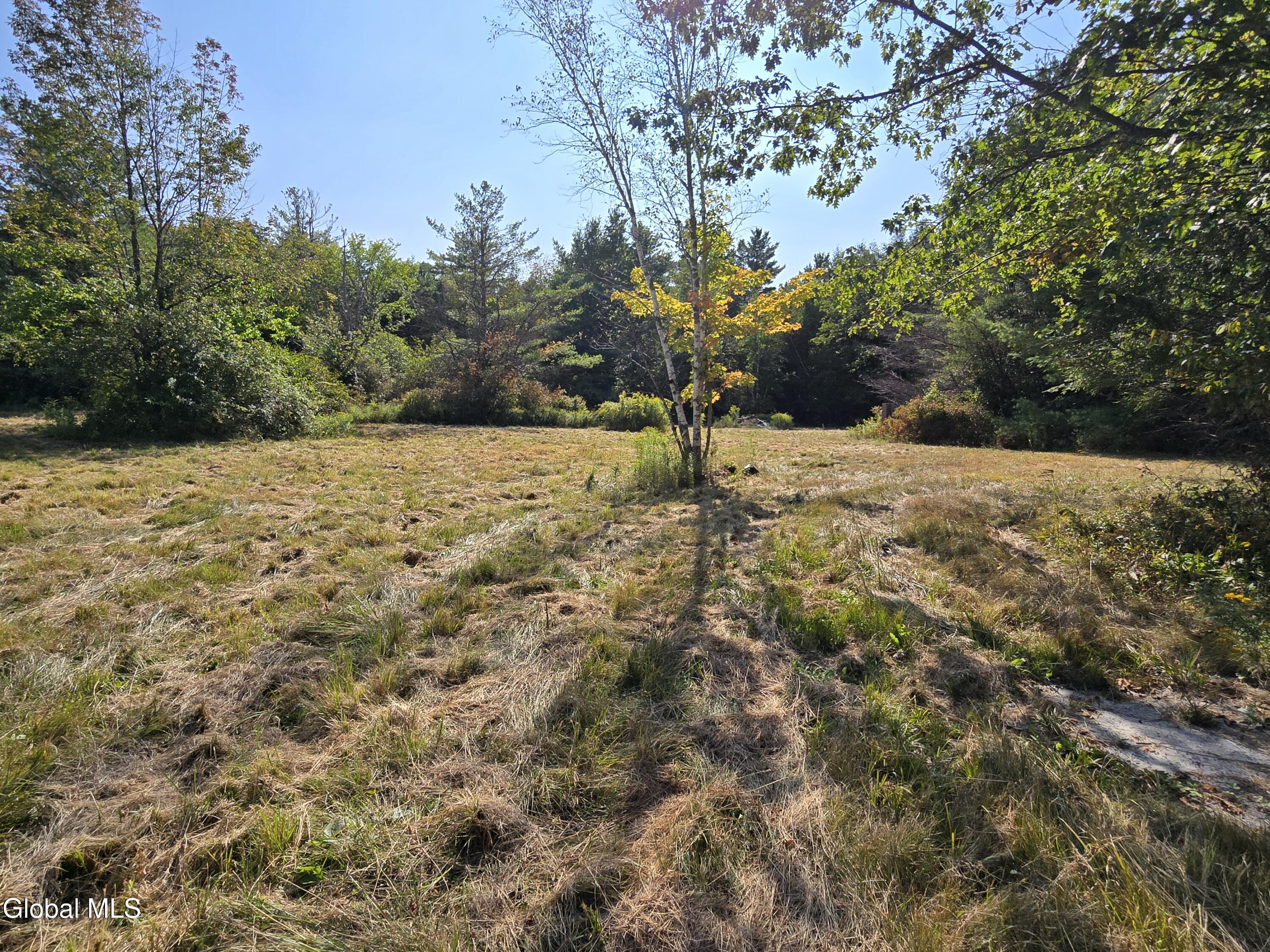 304 Anderson Road Broome, NY 12122 - Photo 2 of 9 1000027912