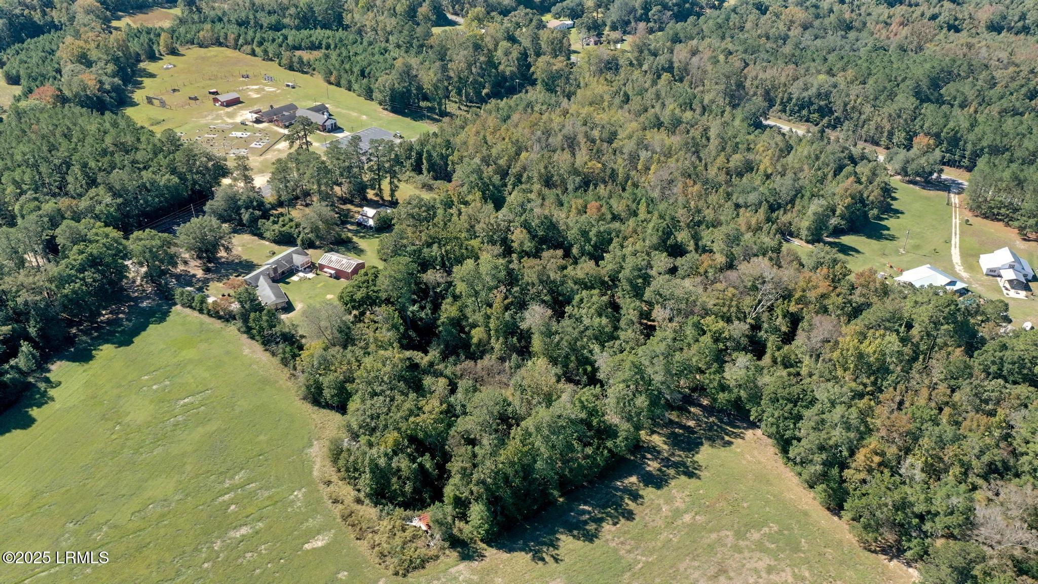 4756 Edisto River Road Branchville, SC 29432 - Photo 7 of 61 DJI_0699