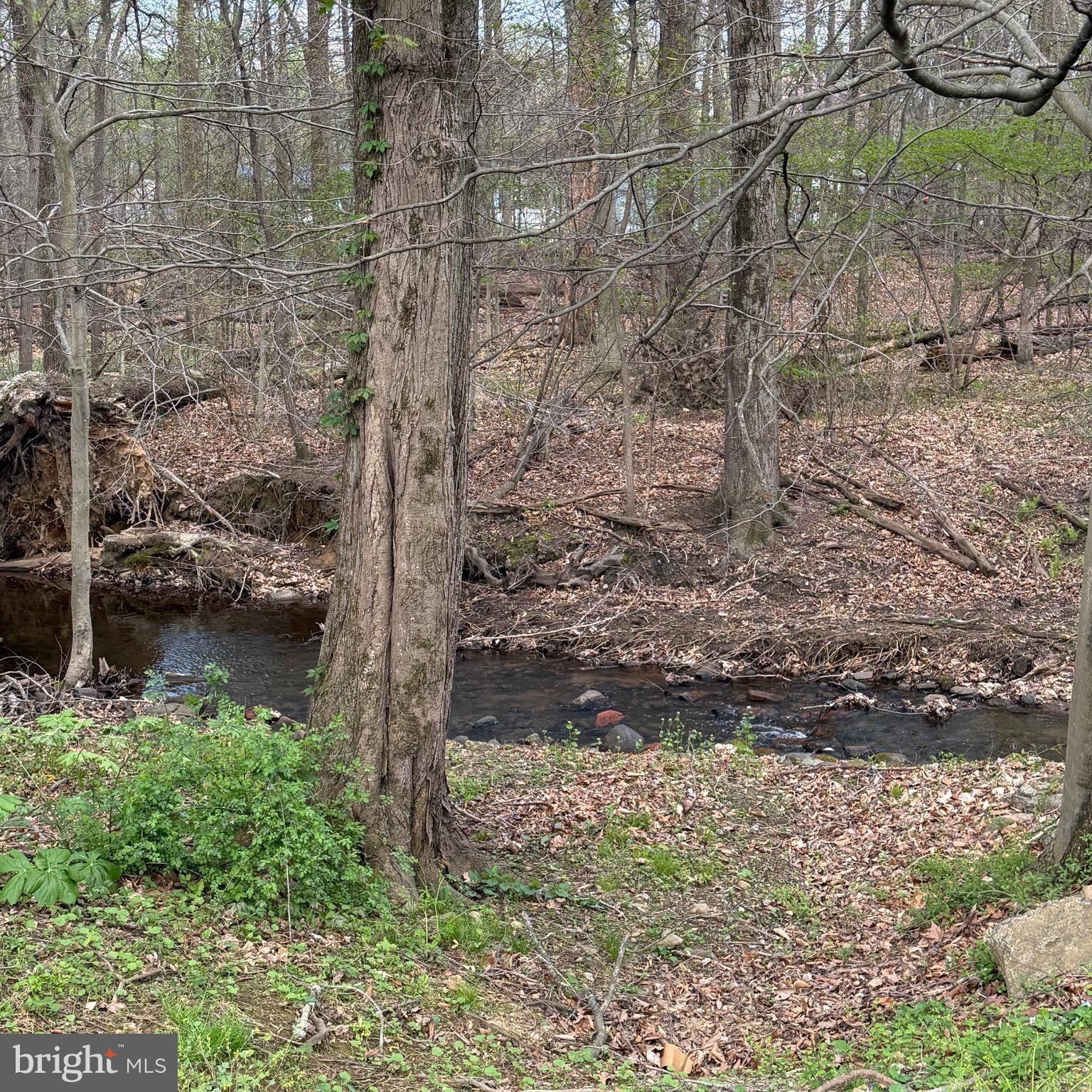 7117 Blue Mountain Road Thurmont, MD 21788 - Photo 15 of 80 a view of lake