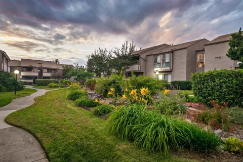 a view of a garden with plants and large trees