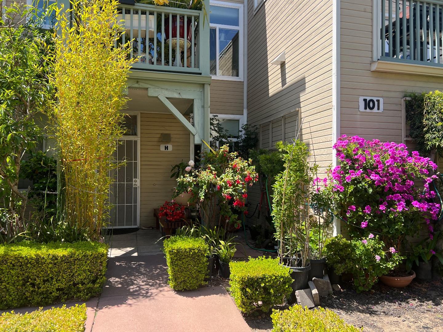 a view of a flower garden in front of house