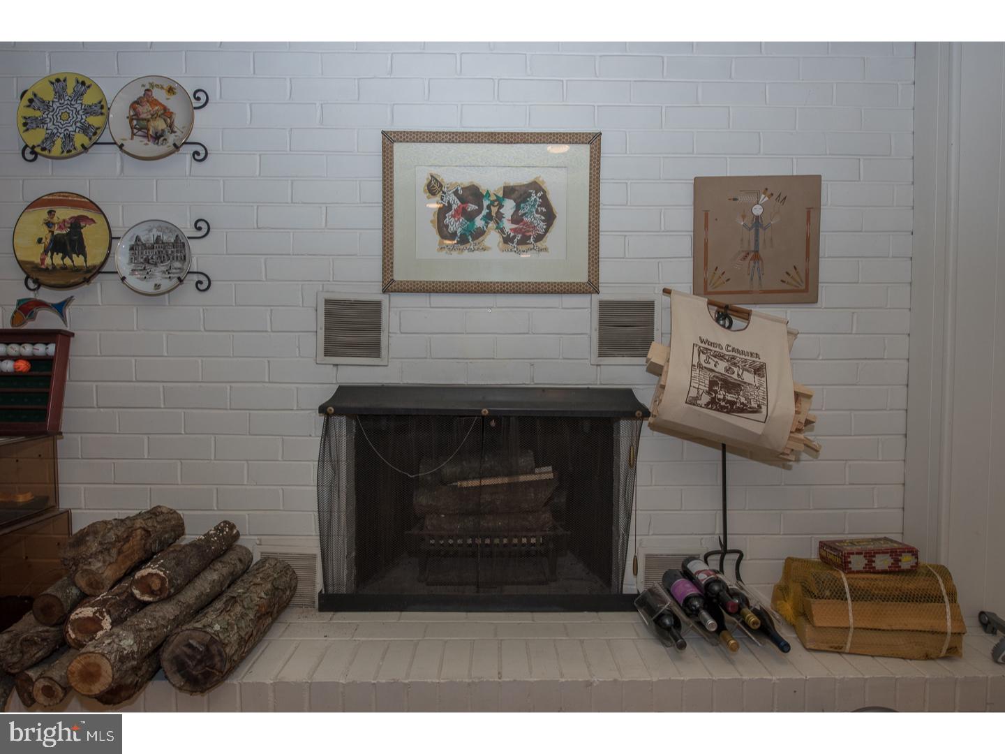 341 Sprague Road Penn Valley, PA 19072 - Photo 16 of 23 Fireplace