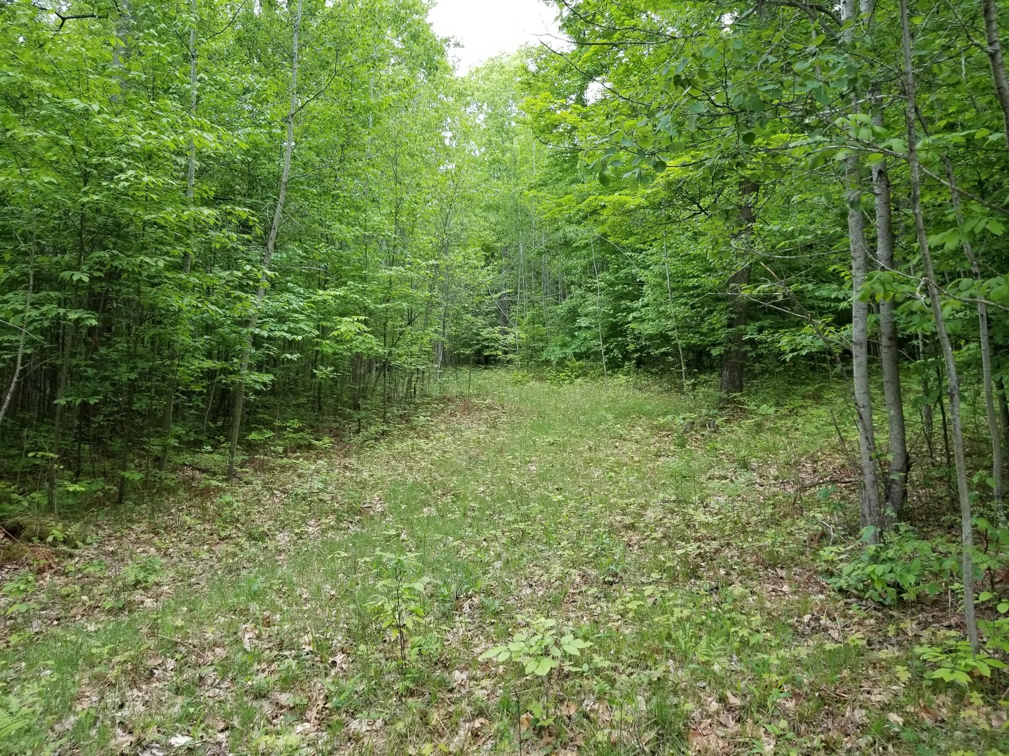 Tower Road Curran, MI 48728 - Photo 1 of 7 Gallery Image 1
