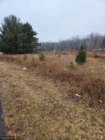 $32,500 | Xxx Little Falls Circle, Amery, WI 54001