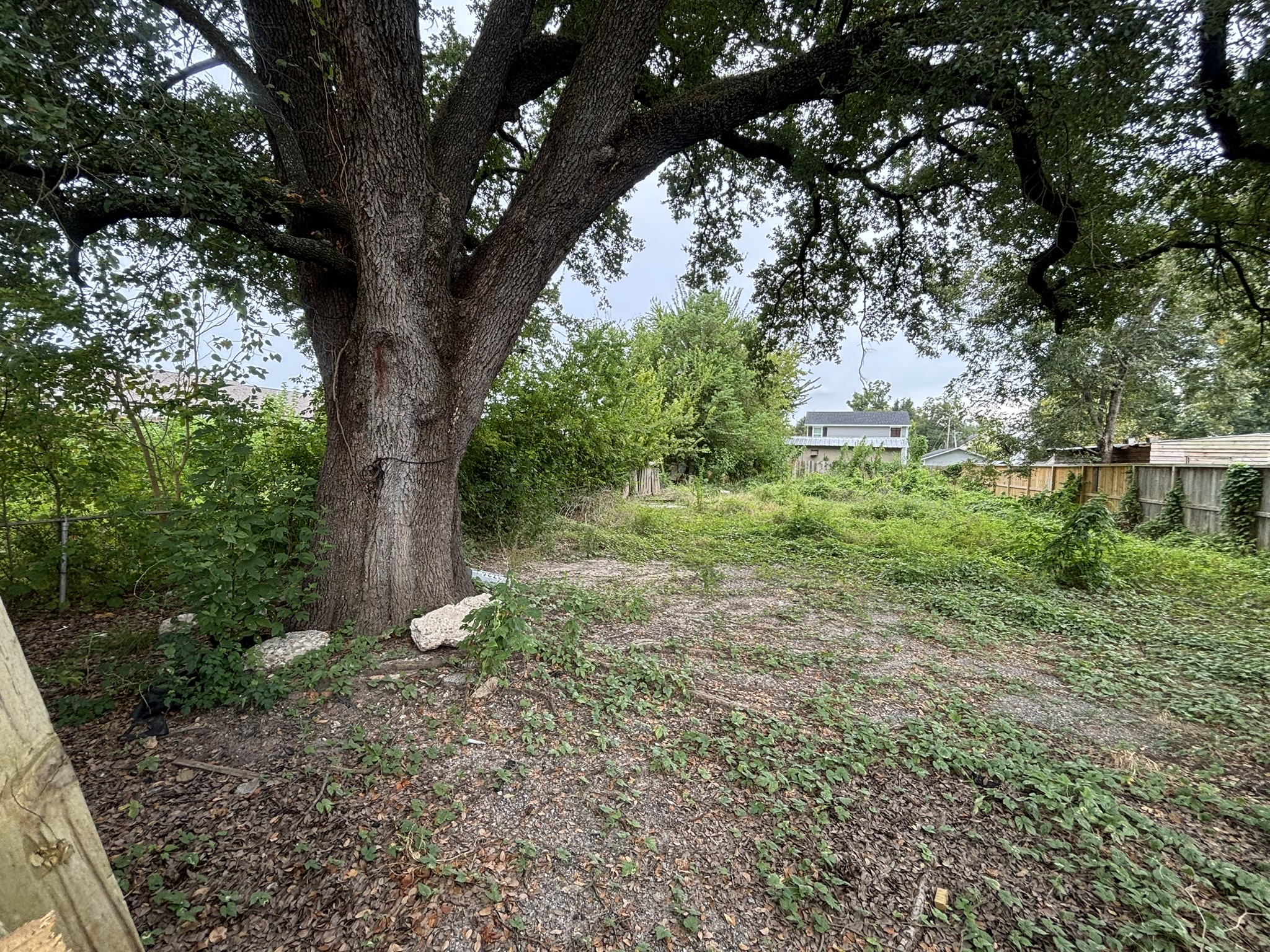 3726 Parker Road Houston, TX 77093 - Photo 9 of 24 Gallery Image 9