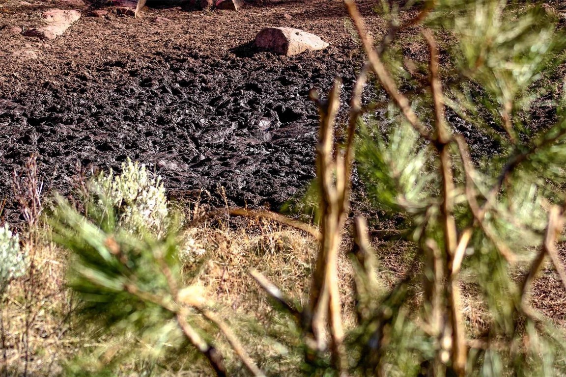 10 County Road 10 Maybell, CO 81640 - Photo 18 of 42