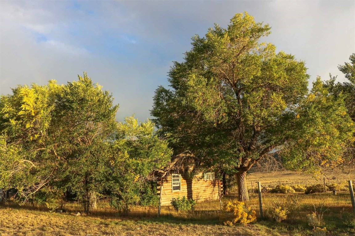 10 County Road 10 Maybell, CO 81640 - Photo 31 of 42 a view of yard with trees