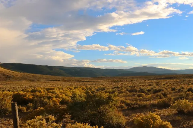 a view of a lush green hillside and a houses