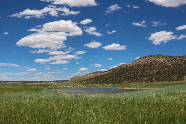a view of a lake in between two of trees