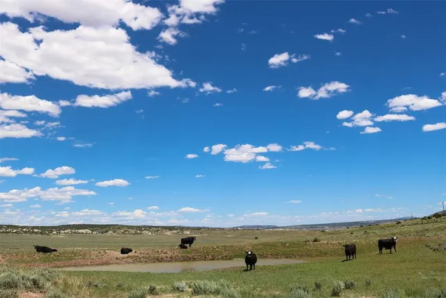 a view of an ocean beach and mountain