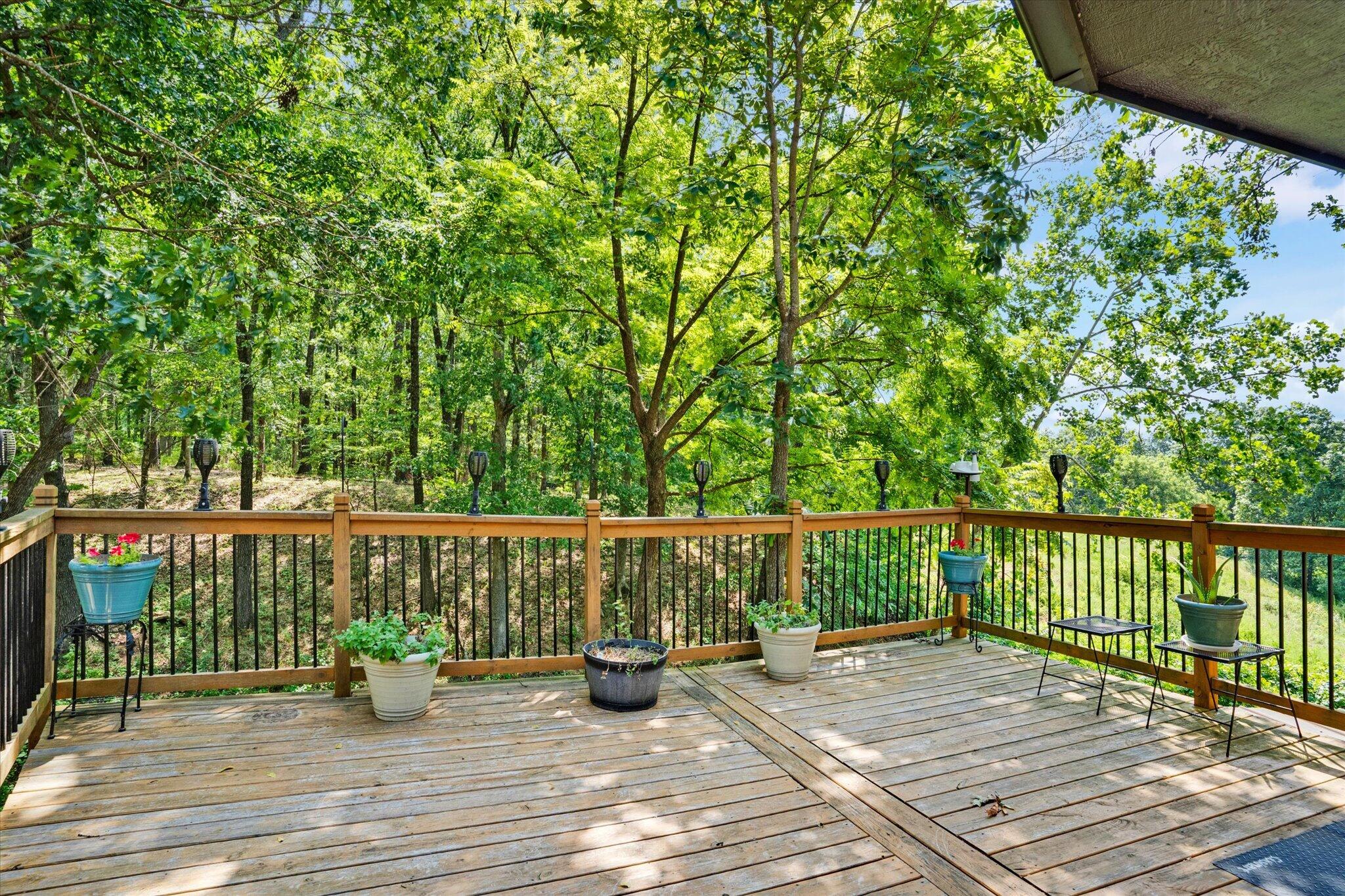 218 Reno Hollow Road Spokane, MO 65754 - Photo 17 of 51 30-29