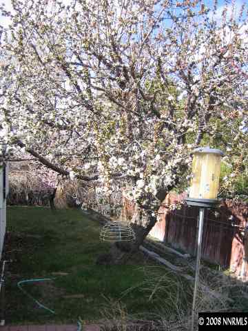 1440 Doric Drive Reno, NV 89503 - Photo 7 of 8 Photo 7