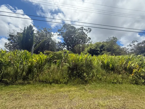 $45,000 | 18-1975 Lot 8 Ohia Nani Road, Mountain View, HI 96771