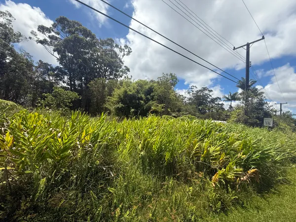 $45,000 | 18-1975 Lot 8 Ohia Nani Road, Mountain View, HI 96771