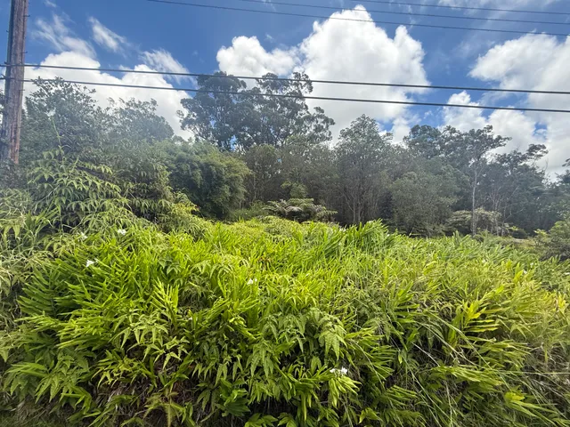 a backyard of a house with lots of green space