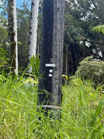 $45,000 | 18-1975 Lot 8 Ohia Nani Road, Mountain View, HI 96771