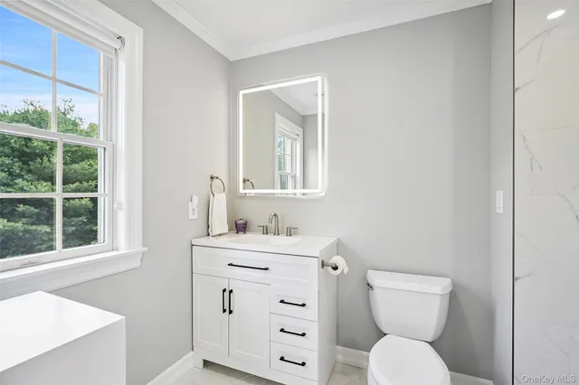 a bathroom with a toilet a sink a vanity a window and mirror
