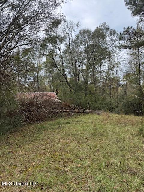 0 Coons Mill Road Centreville, MS 39631 - Photo 1 of 6 IMG_9592