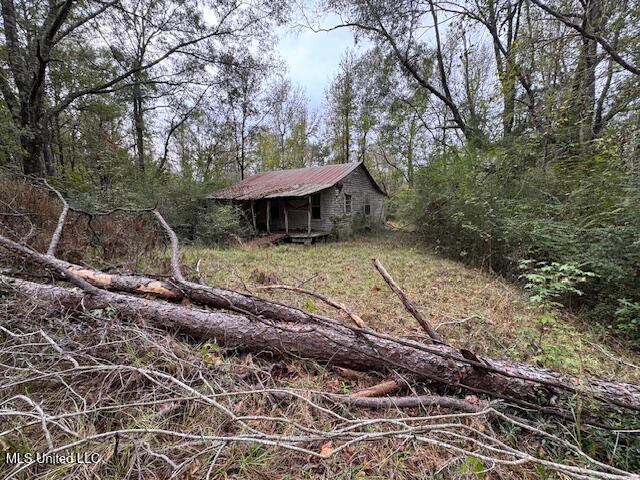 0 Coons Mill Road Centreville, MS 39631 - Photo 5 of 6 IMG_9588